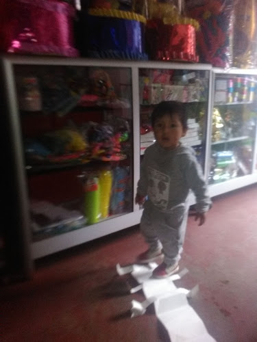 PASTELERIA Y PIÑATERIA GUSTAVO