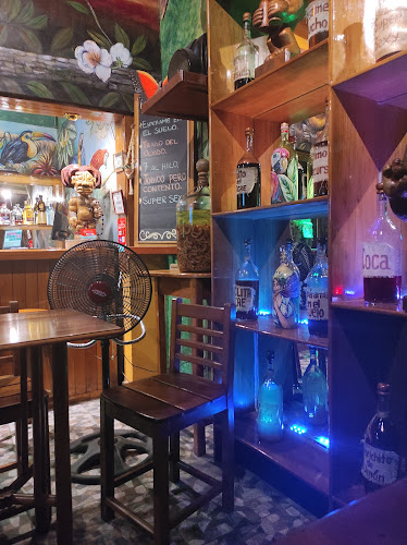 Comentarii opinii despre Musmuqui