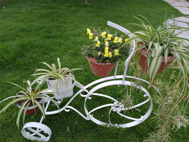 Comentarii opinii despre Pizzeria Enrico