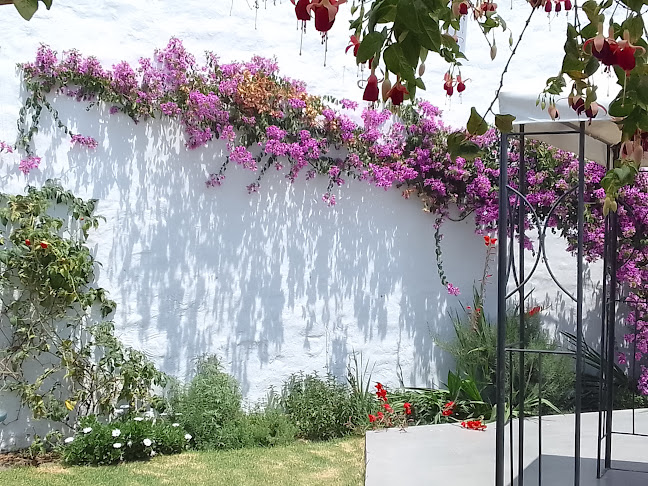 Comentarii opinii despre Orillas Cevicheria Criolla