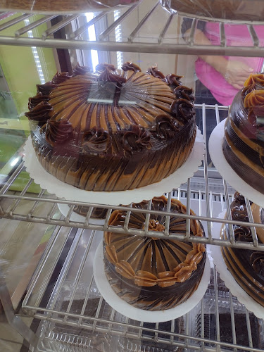 Productos Willy - Lince