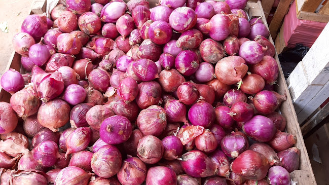 Fruteria y verdureria Panchito - Gastronomía y hostelería