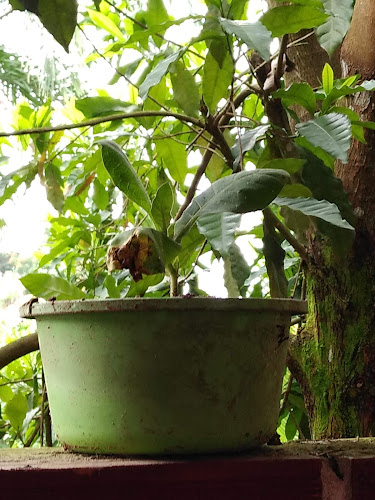 Comentarii opinii despre Recreo La TABERNA