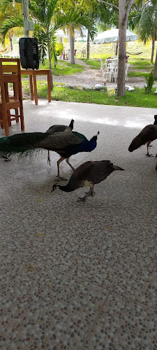 Villa Alcafé - Gastronomía y hostelería