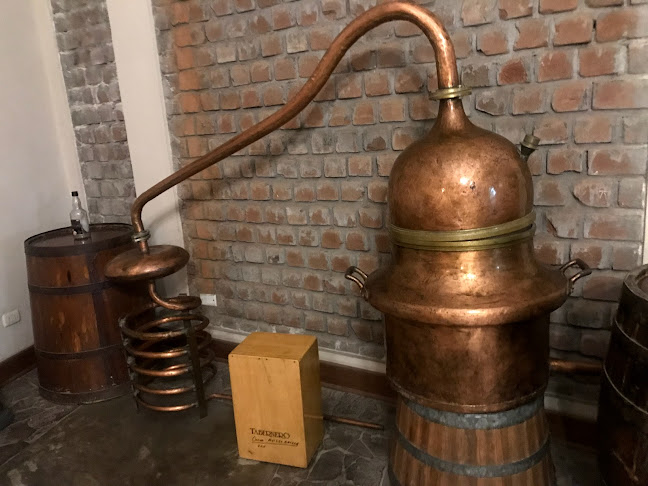 Comentarii opinii despre Bodegas y Viñedos Tabernero