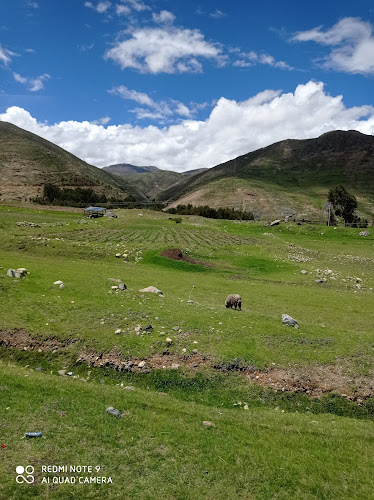 Cafetería - Pastelería El Cafecito