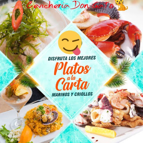 Opinii despre Cevicheria Don Gato în Abancay - Gastronomía y hostelería