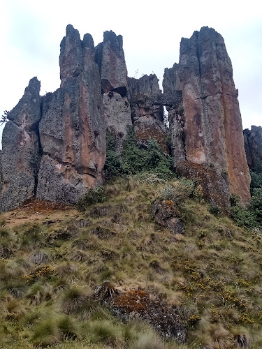 Rest Don Pepino - San Jose de Moro