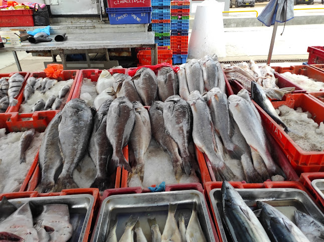 Comentarii opinii despre Nuevo Terminal Pesquero