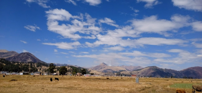 Mercado Central San Pablo - Gastronomía y hostelería