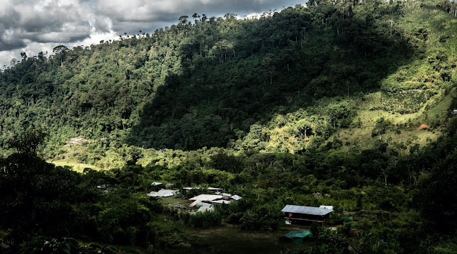 Comentarii opinii despre FINCA TASTA