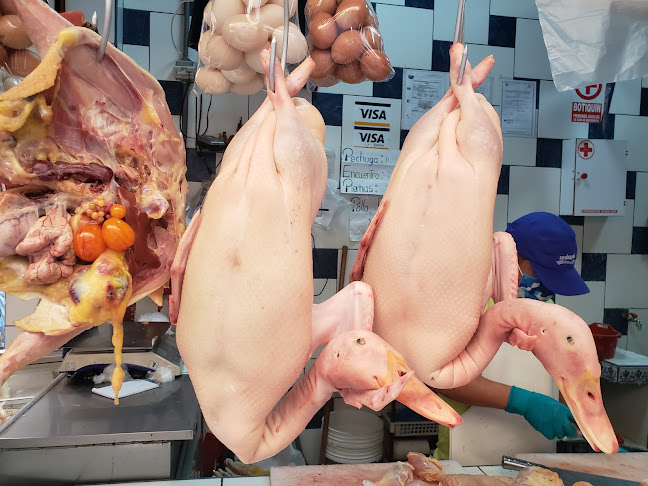 Avícola Jackie - Lima