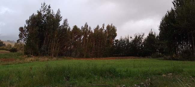 La Señora Patita - Gastronomía y hostelería