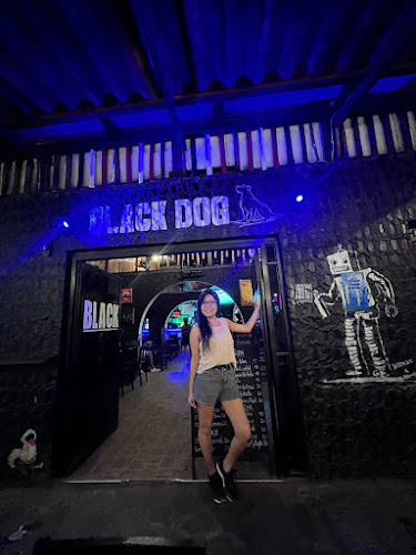 Comentarii opinii despre Black Dog