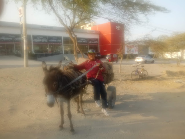 Restaurant Yoshiraro San - Gastronomía y hostelería