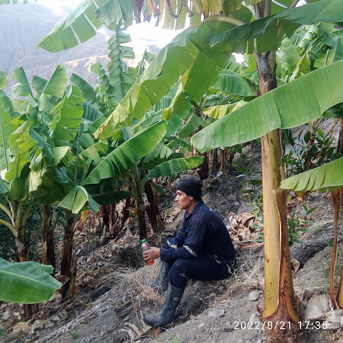 Comentarii opinii despre Restaurant Casa Grande