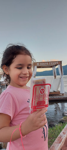 VILLAIZAN Helados y Paletas Artesanales - Gastronomía y hostelería