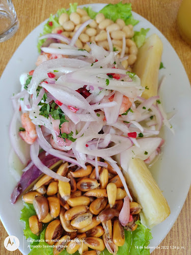 Selva y Norte - Piura