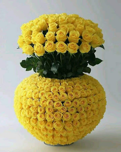 Mercado Alan Garcia - Gastronomía y hostelería