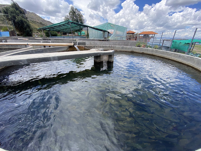 Comentarii opinii despre Restaurante De Juana