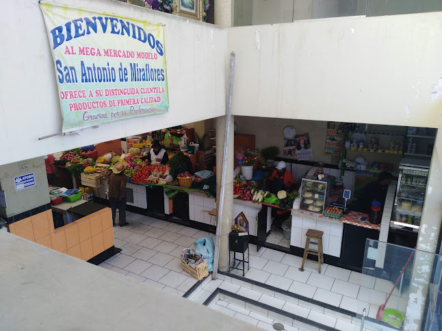 Mercado San Antonio