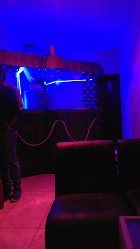 Opinii despre Pk2 Bar în San Vicente de Cañete - Gastronomía y hostelería