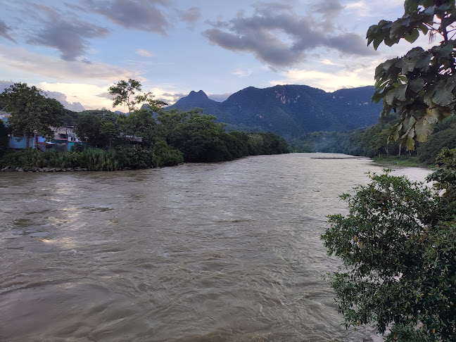 A 20 metros del puente corpac, carretera a la Cueva de las LECHUZAS, Tingo María 10131