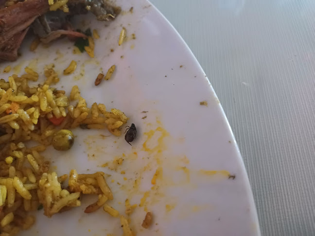 Casa Zambrano Rest Peña Criolla - Ica