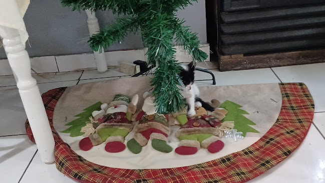 Restaurante Tambo Del Inka