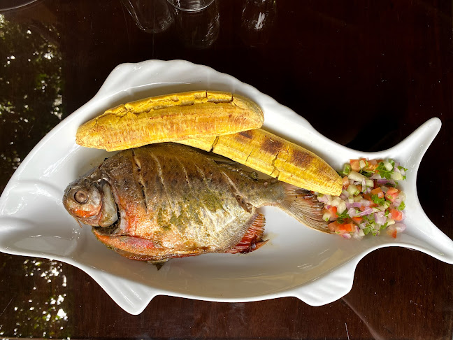 VILLA PALIPERROS - Gastronomía y hostelería