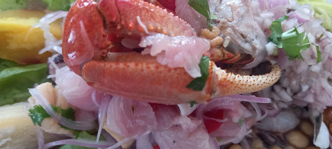 Av. Andrés Avelino Cáceres 3, 20002