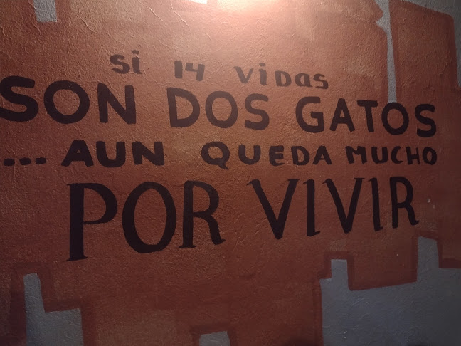 Los Rosales 123, Ayacucho 05002