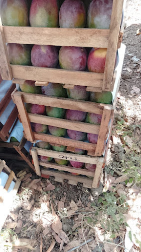 Campo Ferial Ilo - Gastronomía y hostelería