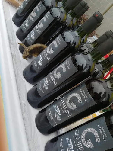 Opinii despre Vino gambini în Barranca - Gastronomía y hostelería