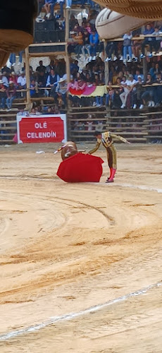 Comentarii opinii despre Shilicolate