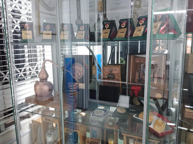 Comentarii opinii despre Tienda Pisco Biondi