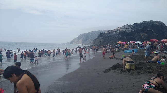 "Restaurant OLGA"- Playa León Dormido - Gastronomía y hostelería