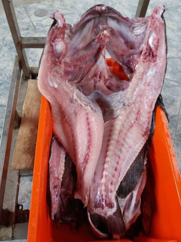 H6QG+C5C, Miguel F. Cerro, Vice 20640