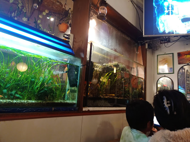 Jr. Abtao 1271, Huánuco 10001