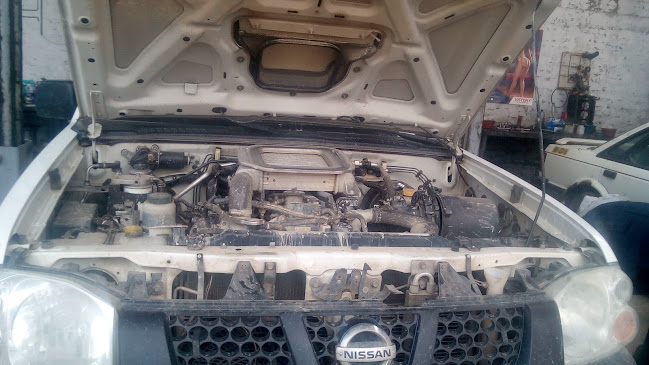 Mercado El Sol - Gastronomía y hostelería