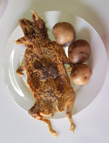 Restaurante Campestre "Las Buganvillas"