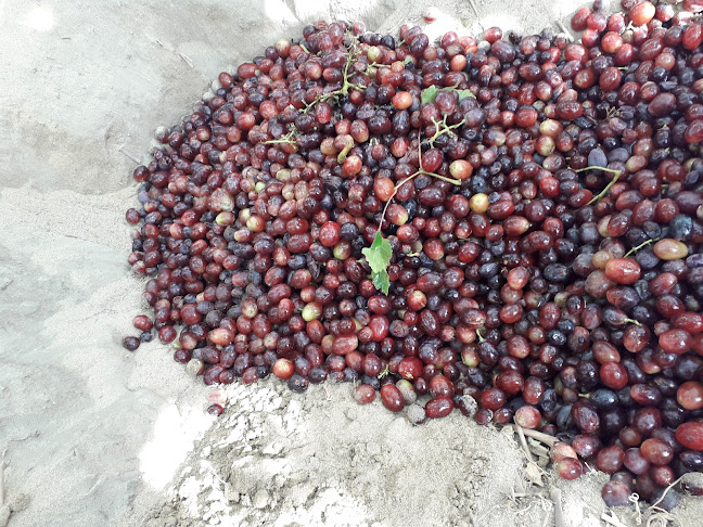 Restaurante Mar & Mar by Panchito - Gastronomía y hostelería