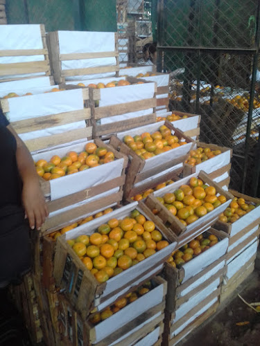 Mercado de Frutas El Palmo - Huaral