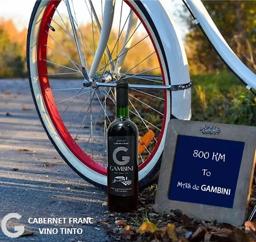 Vino gambini - Gastronomía y hostelería