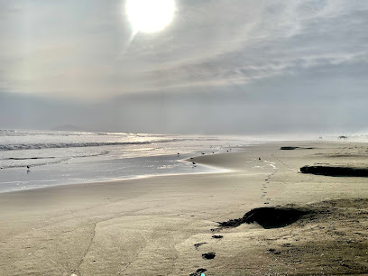 Restaurant El Palmero