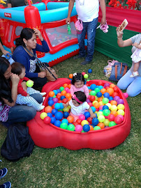 Comentarii opinii despre Nettalco