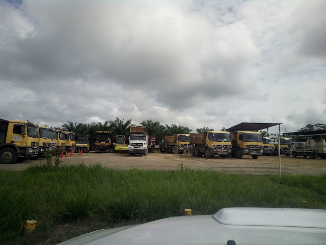 Heladería Willy - Gastronomía y hostelería