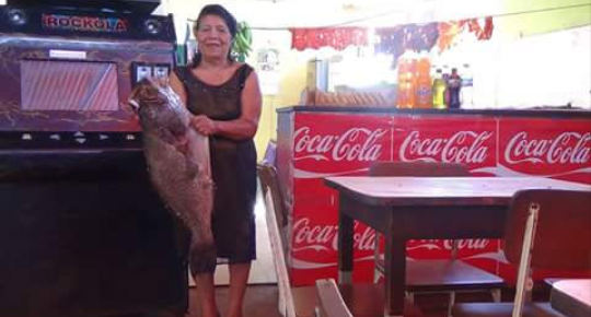 Restaurant Santa Cecilia La Ñata Rica