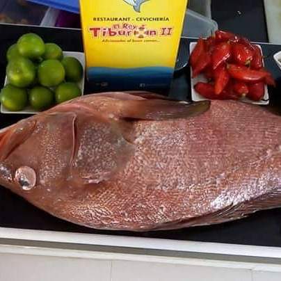 Comentarii opinii despre Rey Tiburon II