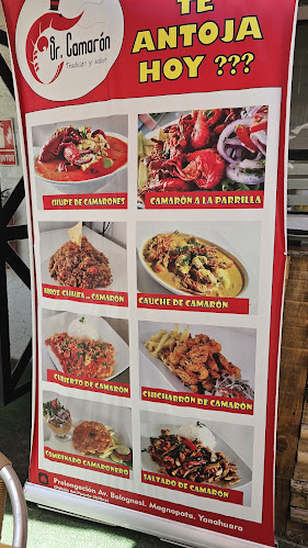 Comentarii opinii despre Sr. Camarón